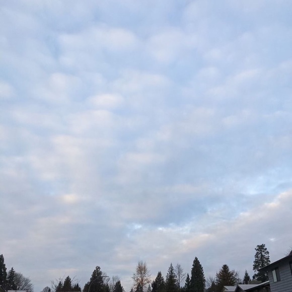 Meet your Posher, Jason - Picture 1 of 1